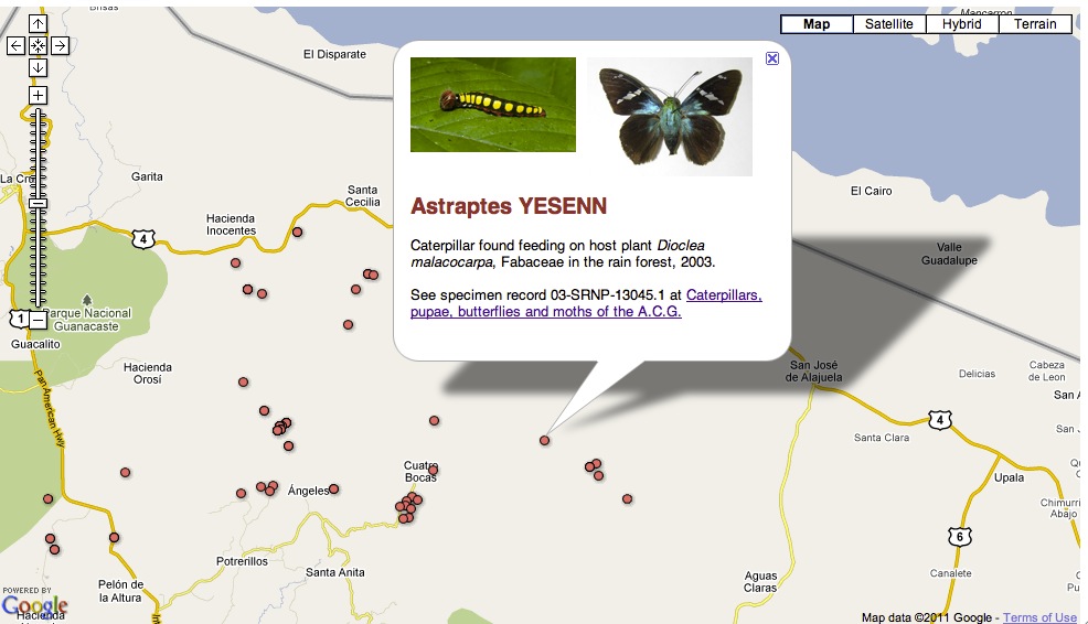 map of data showing custom popup balloon open