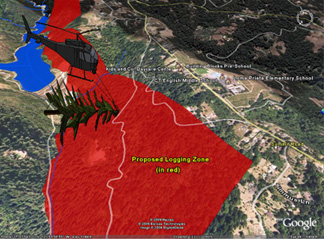 NAIL