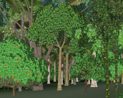 3D Trees
