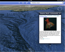 See the Ocean on your iPhone