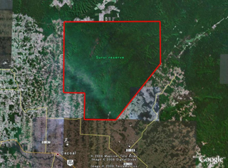 Surui territory