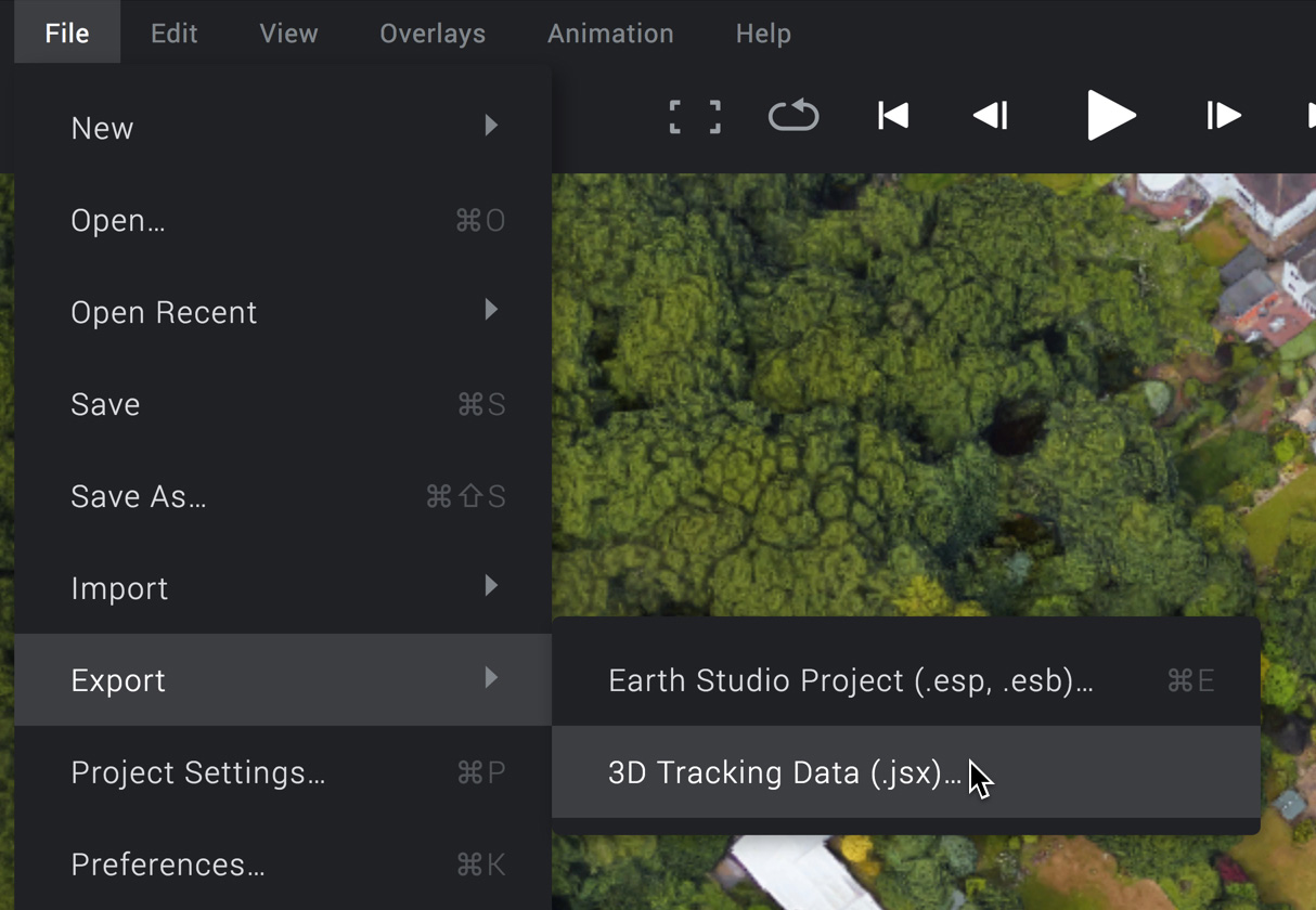 How do I export Google Earth 3D?